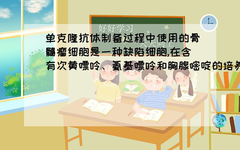 单克隆抗体制备过程中使用的骨髓瘤细胞是一种缺陷细胞,在含有次黄嘌呤、氨基嘌呤和胸腺嘧啶的培养基(HAT)中无法生长,而小鼠脾细胞是正常细胞,在HAT培养基上可正常存活.用聚乙二醇诱导