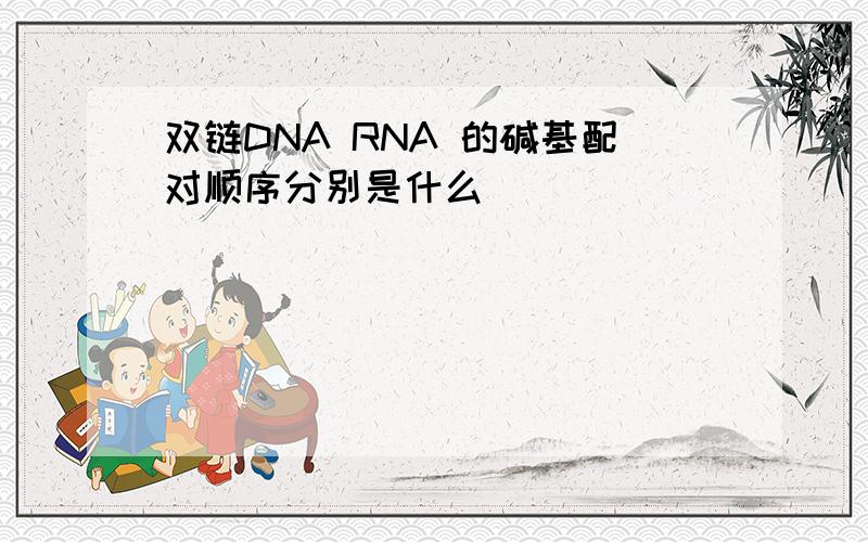 双链DNA RNA 的碱基配对顺序分别是什么