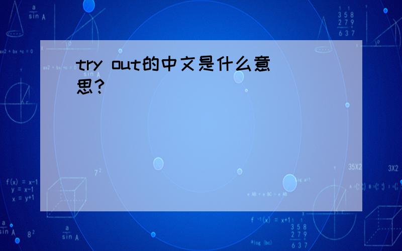 try out的中文是什么意思?