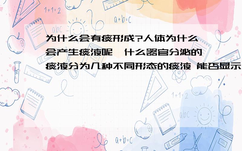 为什么会有痰形成?人体为什么会产生痰液呢,什么器官分泌的痰液分为几种不同形态的痰液 能否显示人体 各器官健康状态