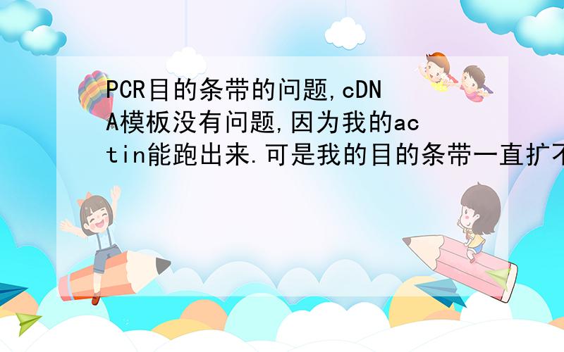 PCR目的条带的问题,cDNA模板没有问题,因为我的actin能跑出来.可是我的目的条带一直扩不出来,换了引物还是不管用.用别人肯定扩出来的引物去P,还是没有目的条带.这是为什么啊?