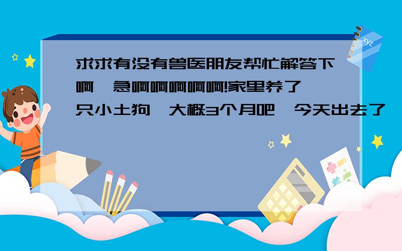 求求有没有兽医朋友帮忙解答下啊,急啊啊啊啊啊!家里养了一只小土狗,大概3个月吧,今天出去了,回来的时候发现狗狗趴在地上拼命的呼吸,发抖,身上还有屎和些许的血迹,问了旁边的孩子才知