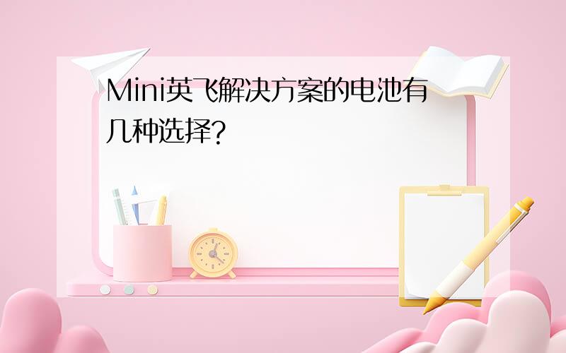 Mini英飞解决方案的电池有几种选择?