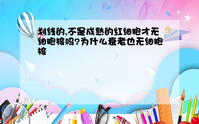 划线的,不是成熟的红细胞才无细胞核吗?为什么衰老也无细胞核