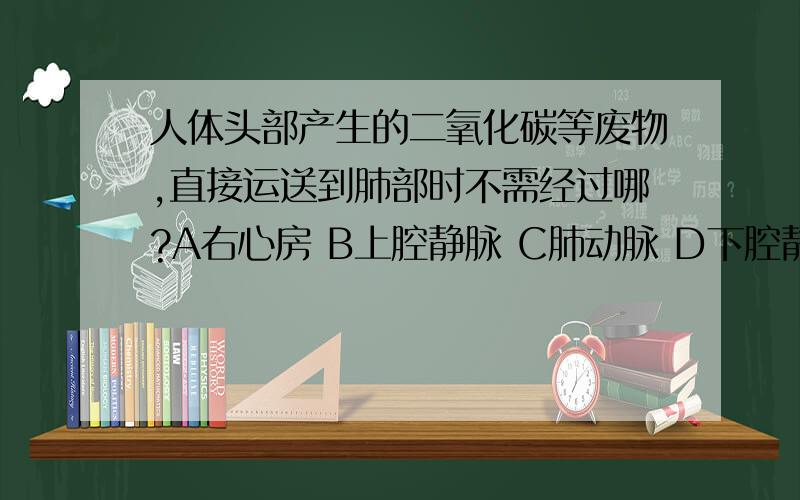 人体头部产生的二氧化碳等废物,直接运送到肺部时不需经过哪?A右心房 B上腔静脉 C肺动脉 D下腔静脉