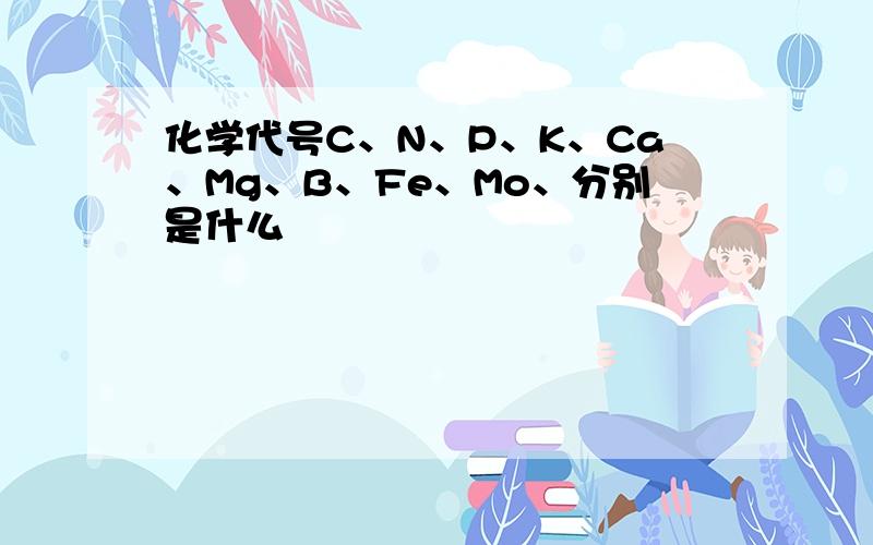 化学代号C、N、P、K、Ca、Mg、B、Fe、Mo、分别是什么