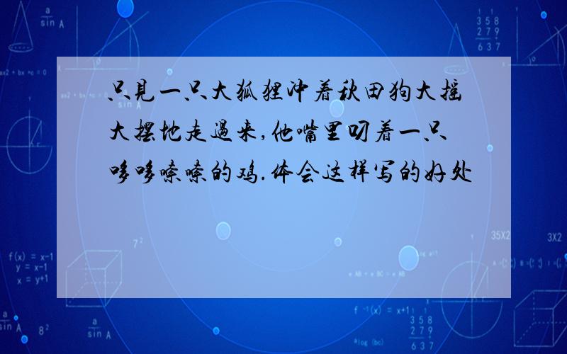 只见一只大狐狸冲着秋田狗大摇大摆地走过来,他嘴里叼着一只哆哆嗦嗦的鸡.体会这样写的好处