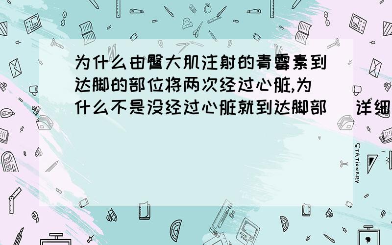 为什么由臀大肌注射的青霉素到达脚的部位将两次经过心脏,为什么不是没经过心脏就到达脚部 （详细一点）