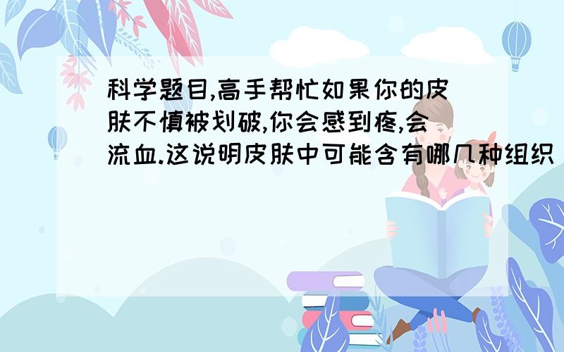 科学题目,高手帮忙如果你的皮肤不慎被划破,你会感到疼,会流血.这说明皮肤中可能含有哪几种组织（ ） A、结缔组织、神经组织 B、上皮组织、神经组织 C、上皮组织、结缔组织、神经组织 D