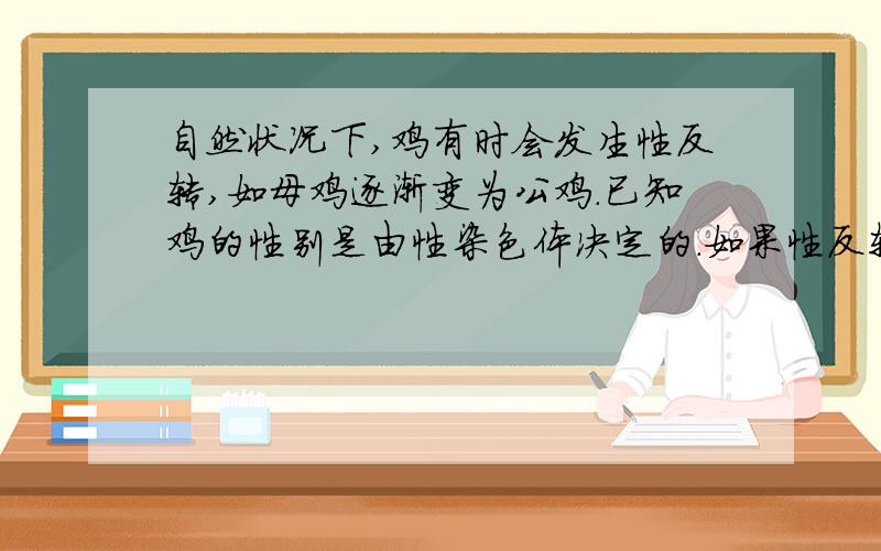 自然状况下,鸡有时会发生性反转,如母鸡逐渐变为公鸡.已知鸡的性别是由性染色体决定的.如果性反转公鸡与正常母鸡交配,并产生后代.后代中母鸡与公鸡的比例是：A.1：0 B.1：1 C.2；1 D.3；1