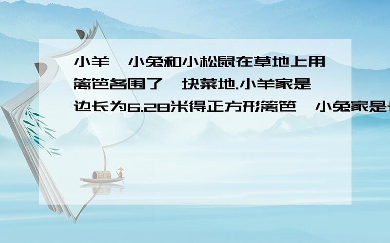 小羊、小兔和小松鼠在草地上用篱笆各围了一块菜地.小羊家是边长为6.28米得正方形篱笆,小兔家是长6.56米宽6米得长方形,松鼠家是半径是4米得圆.请问他们各用了多少米篱笆?谁的大,谁的小?