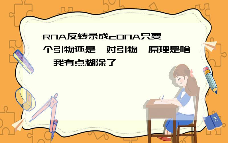 RNA反转录成cDNA只要一个引物还是一对引物,原理是啥,我有点糊涂了