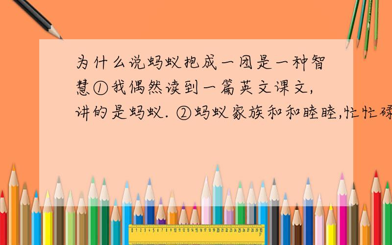 为什么说蚂蚁抱成一团是一种智慧①我偶然读到一篇英文课文,讲的是蚂蚁. ②蚂蚁家族和和睦睦,忙忙碌碌,母蚁生儿,公蚁持家.他们在原野、荒滩上搬运食物,建设家园.想不到小小生灵,竟活得