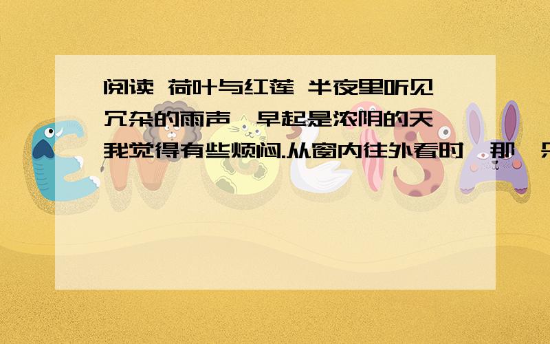 阅读 荷叶与红莲 半夜里听见冗杂的雨声,早起是浓阴的天,我觉得有些烦闷.从窗内往外看时,那一朵白莲曾经谢了,白瓣儿小船般飘散在水面,梗上只留个小小的莲蓬和几淡黄色的花须,那一朵红