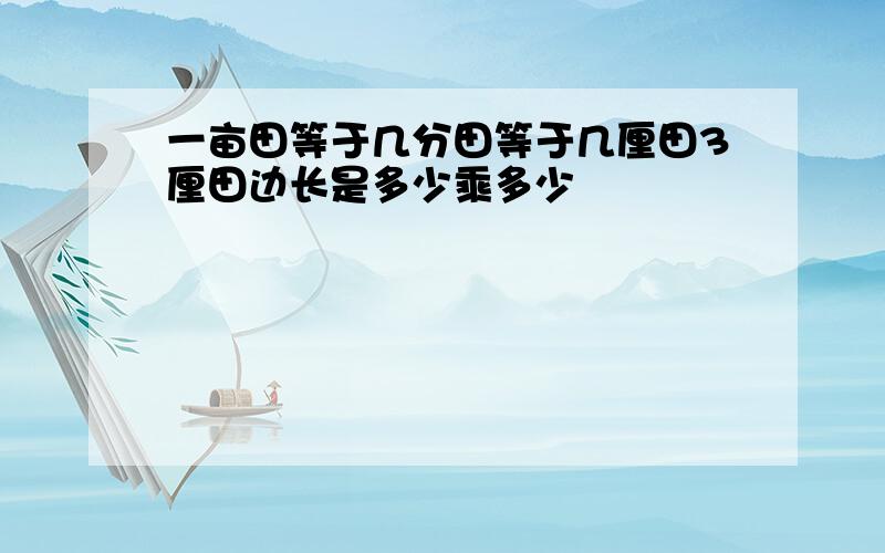 一亩田等于几分田等于几厘田3厘田边长是多少乘多少