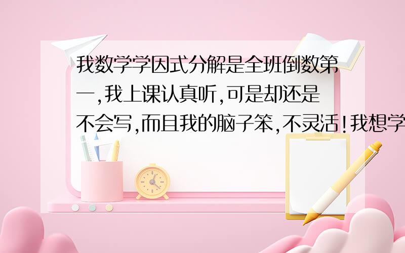 我数学学因式分解是全班倒数第一,我上课认真听,可是却还是不会写,而且我的脑子笨,不灵活!我想学好因式分解,我已经学到初三了,虽然目前学的还会,但是我不想这个因式分解这个漏洞,有什