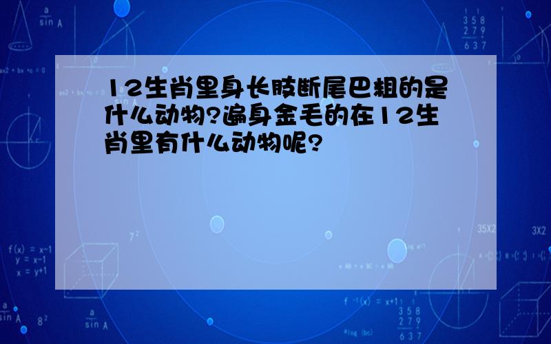 12生肖里身长肢断尾巴粗的是什么动物?遍身金毛的在12生肖里有什么动物呢?