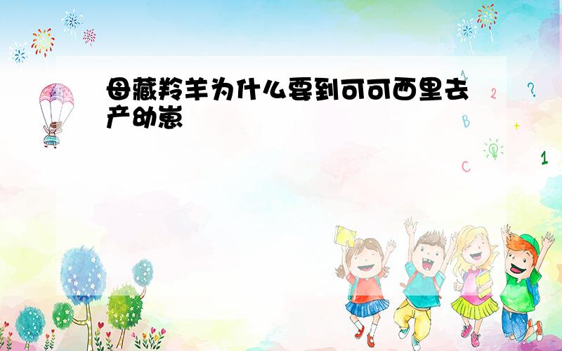 母藏羚羊为什么要到可可西里去产幼崽