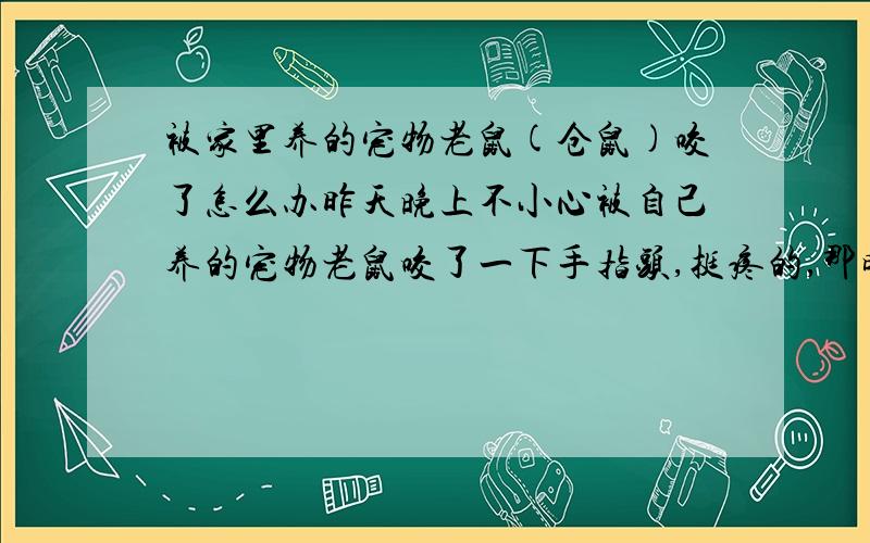 被家里养的宠物老鼠(仓鼠)咬了怎么办昨天晚上不小心被自己养的宠物老鼠咬了一下手指头,挺疼的,那时手很湿,虽然被咬的地方没有出血,但我还是随便用清水清洗了一下.可是第二天却发现被