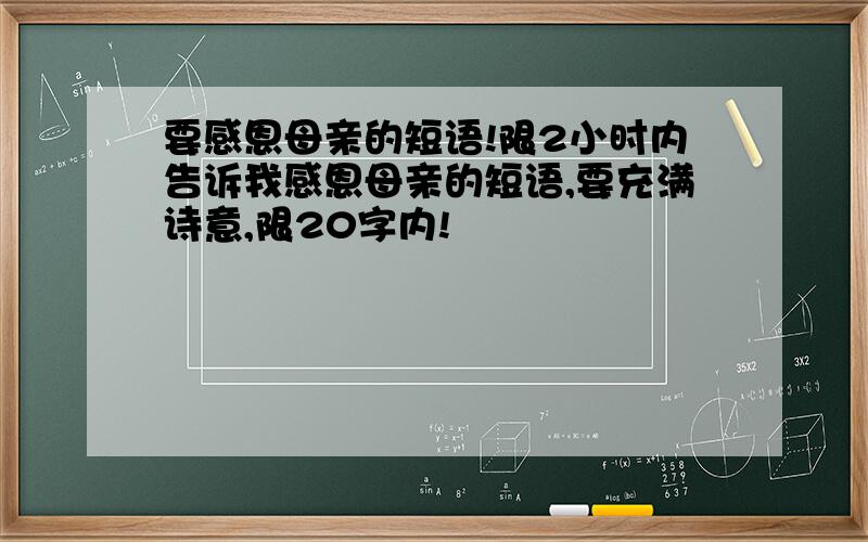 要感恩母亲的短语!限2小时内告诉我感恩母亲的短语,要充满诗意,限20字内!