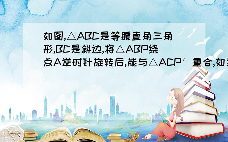 如图,△ABC是等腰直角三角形,BC是斜边,将△ABP绕点A逆时针旋转后,能与△ACP′重合,如果AP=3,那么PP