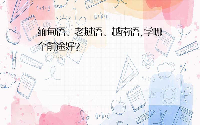 缅甸语、老挝语、越南语,学哪个前途好?