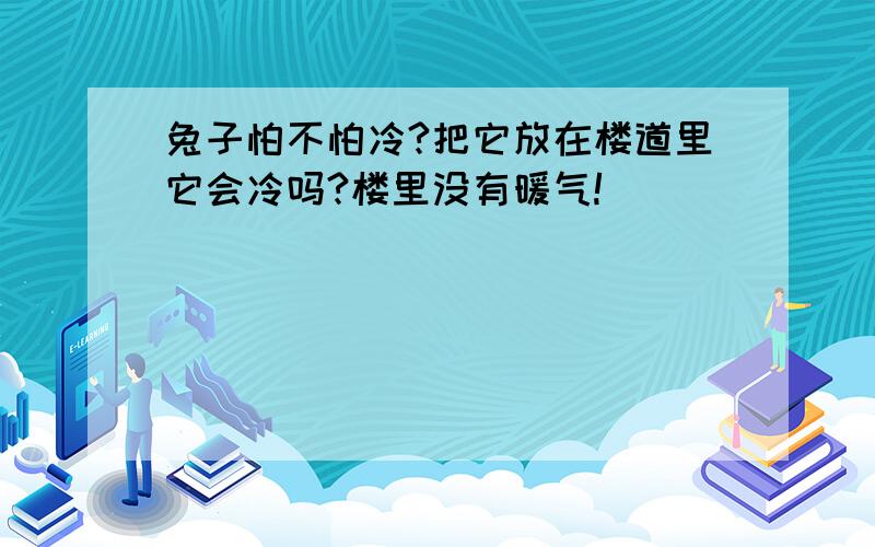 兔子怕不怕冷?把它放在楼道里它会冷吗?楼里没有暖气!