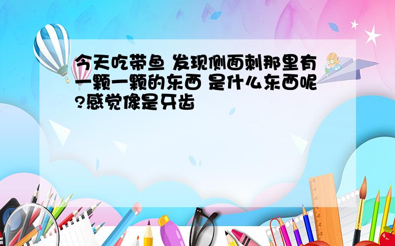 今天吃带鱼 发现侧面刺那里有一颗一颗的东西 是什么东西呢?感觉像是牙齿