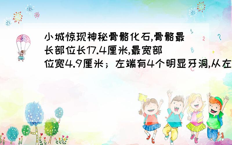 小城惊现神秘骨骼化石,骨骼最长部位长17.4厘米,最宽部位宽4.9厘米；左端有4个明显牙洞,从左端数第三个牙洞里原有一颗带钩尖牙,根部黄,勾尖处白,可惜运输途中遗失.请问这是什么动物骨骼