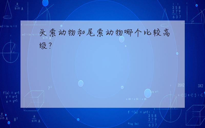 头索动物和尾索动物哪个比较高级?