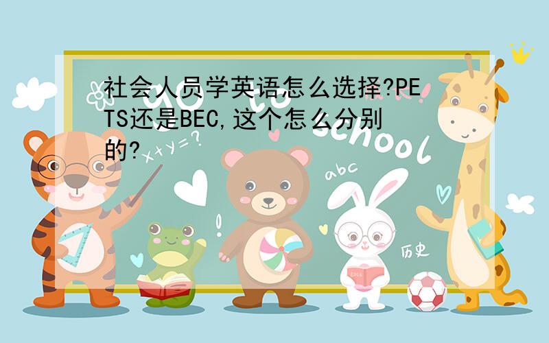 社会人员学英语怎么选择?PETS还是BEC,这个怎么分别的?