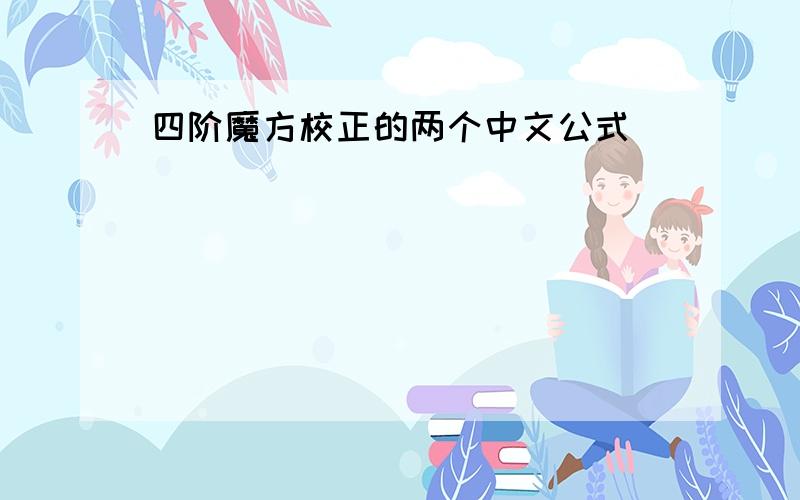 四阶魔方校正的两个中文公式