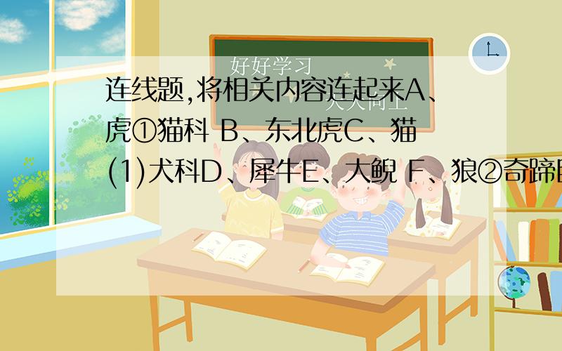 连线题,将相关内容连起来A、虎①猫科 B、东北虎C、猫 (1)犬科D、犀牛E、大鲵 F、狼②奇蹄目 G、狗 (2)两栖纲H、马I、蟾蜍那个错位了！字母的是一列，数字①②的是一列，数字（1）（2）的