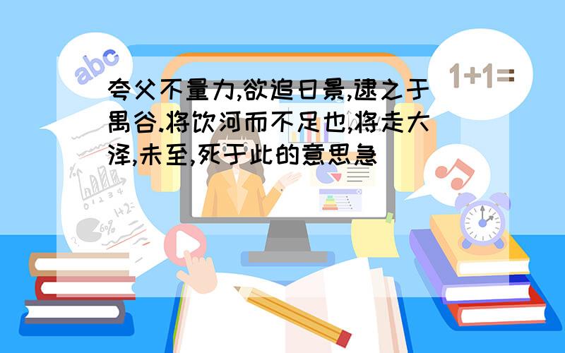 夸父不量力,欲追日景,逮之于禺谷.将饮河而不足也,将走大泽,未至,死于此的意思急