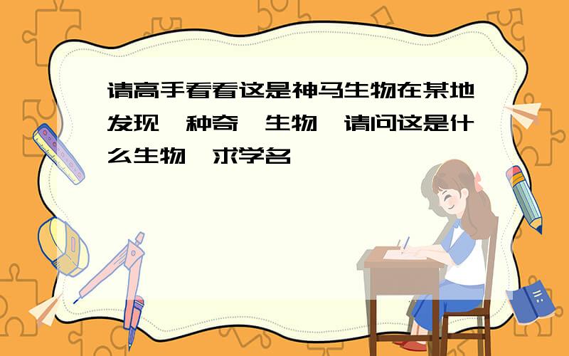 请高手看看这是神马生物在某地发现一种奇葩生物,请问这是什么生物,求学名