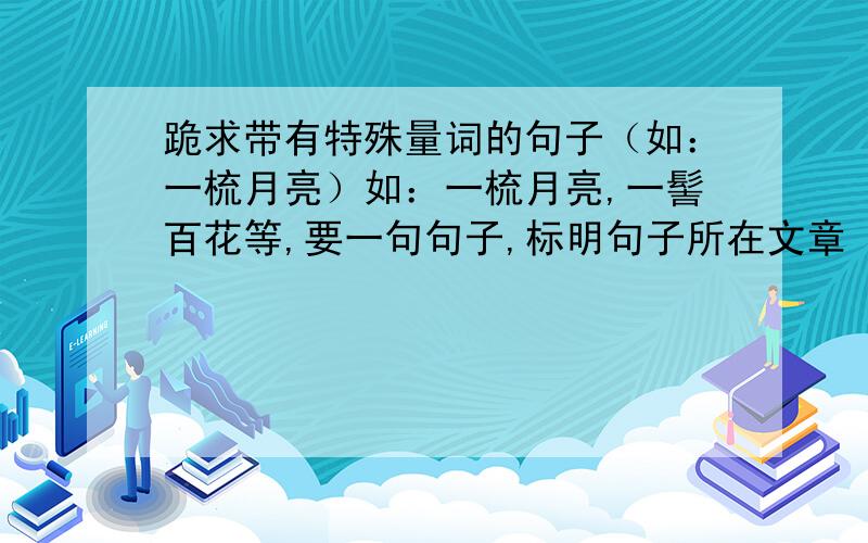 跪求带有特殊量词的句子（如：一梳月亮）如：一梳月亮,一髻百花等,要一句句子,标明句子所在文章《xxx》,5个