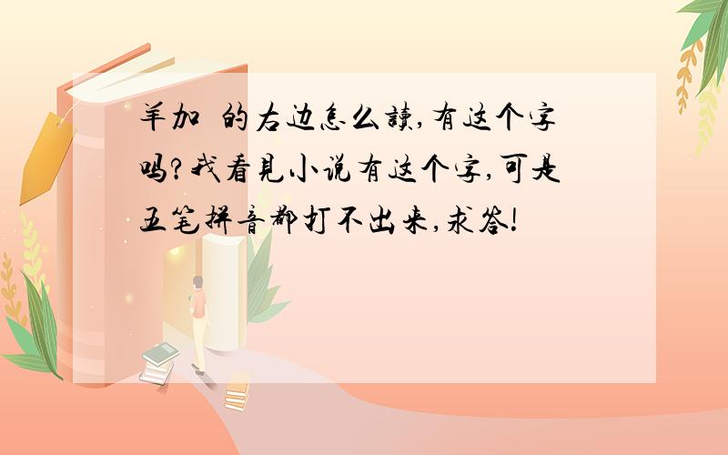 羊加濆的右边怎么读,有这个字吗?我看见小说有这个字,可是五笔拼音都打不出来,求答!