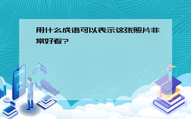 用什么成语可以表示这张照片非常好看?