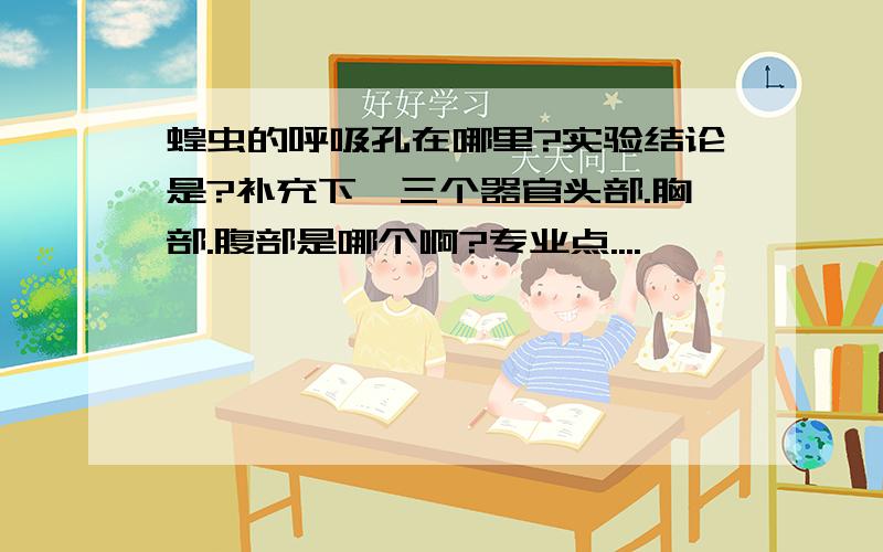 蝗虫的呼吸孔在哪里?实验结论是?补充下,三个器官头部.胸部.腹部是哪个啊?专业点....