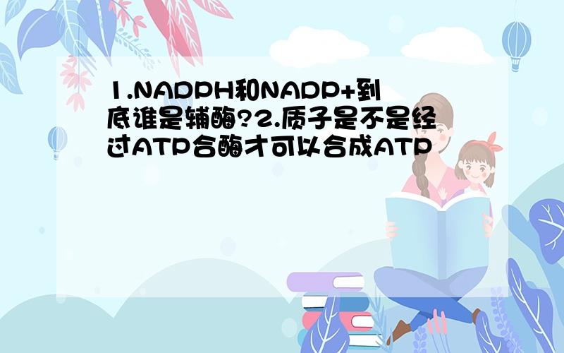 1.NADPH和NADP+到底谁是辅酶?2.质子是不是经过ATP合酶才可以合成ATP