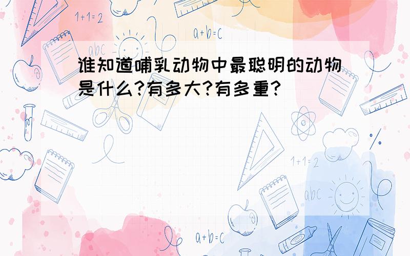 谁知道哺乳动物中最聪明的动物是什么?有多大?有多重?