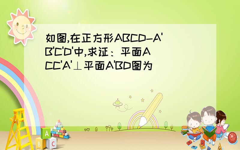 如图,在正方形ABCD-A'B'C'D'中,求证：平面ACC'A'⊥平面A'BD图为