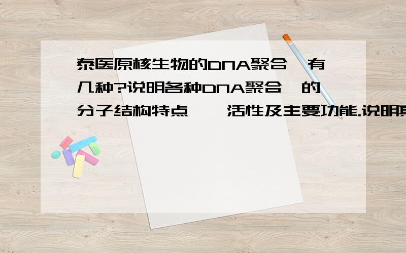 泰医原核生物的DNA聚合酶有几种?说明各种DNA聚合酶的分子结构特点、酶活性及主要功能.说明真核生物各种D