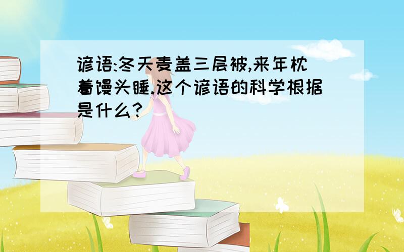 谚语:冬天麦盖三层被,来年枕着馒头睡.这个谚语的科学根据是什么?