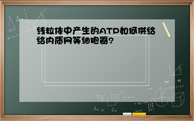 线粒体中产生的ATP如何供给给内质网等细胞器?