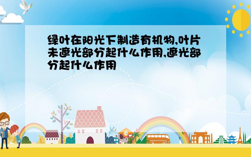 绿叶在阳光下制造有机物,叶片未遮光部分起什么作用,遮光部分起什么作用