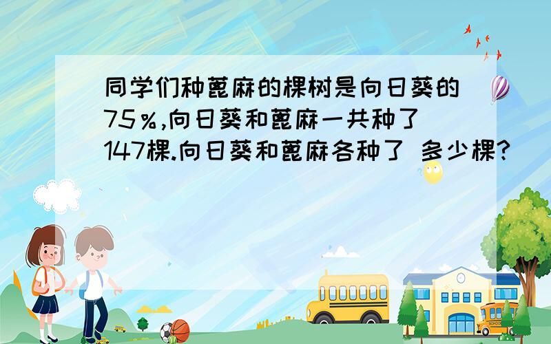 同学们种蓖麻的棵树是向日葵的75％,向日葵和蓖麻一共种了147棵.向日葵和蓖麻各种了 多少棵?