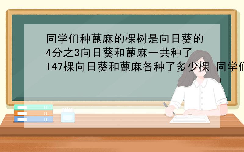 同学们种蓖麻的棵树是向日葵的4分之3向日葵和蓖麻一共种了147棵向日葵和蓖麻各种了多少棵 同学们种蓖麻的