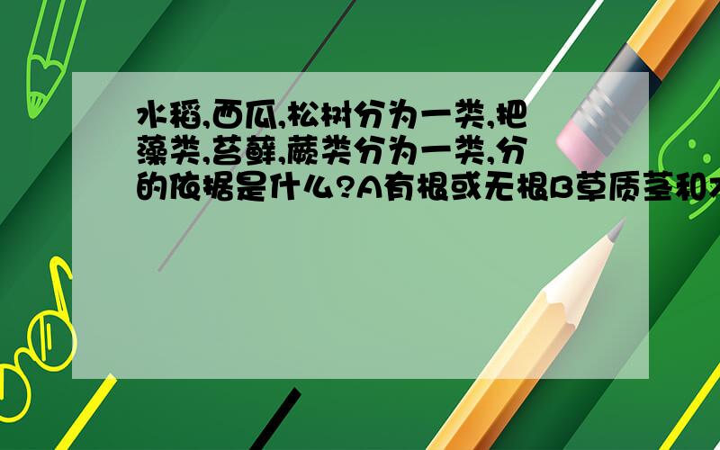 水稻,西瓜,松树分为一类,把藻类,苔藓,蕨类分为一类,分的依据是什么?A有根或无根B草质茎和木质茎C有种子和无种子D水生或陆生