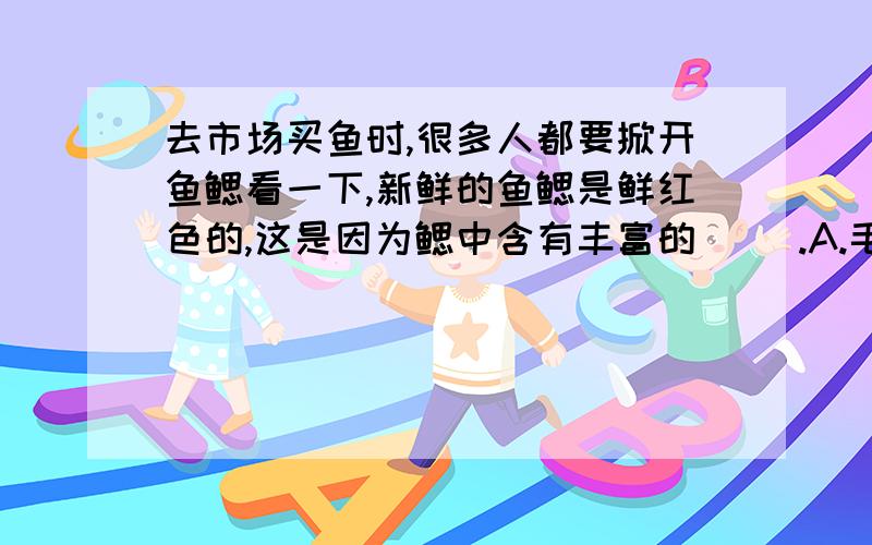 去市场买鱼时,很多人都要掀开鱼鳃看一下,新鲜的鱼鳃是鲜红色的,这是因为鳃中含有丰富的（ ）.A.毛细血管B.动脉血管C.静脉血管D.氧气